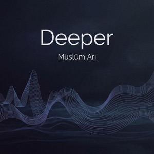 Müslüm Arı — Endless