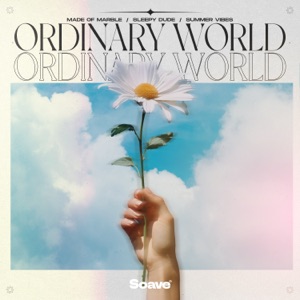Made Of Marble;Sleepy Dude;Summer Vibes — Ordinary World