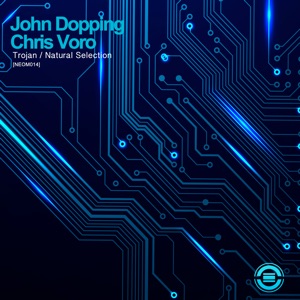 Magnus & John Dopping — Introspection (Chris Voro Remix)