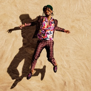 Mali Music & Salaam Remi — Gonna Be Alright
