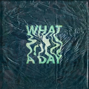 Malte Herbst — What A Day