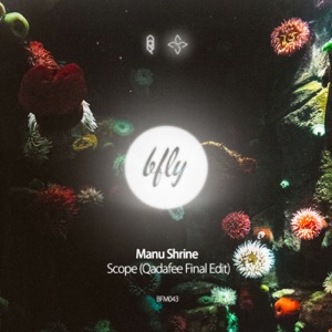 Manu Shrine — Lie