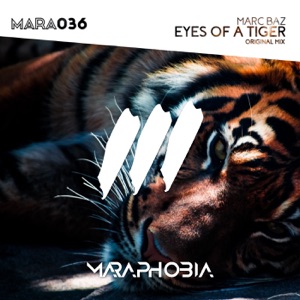 Marc BAZ — Eyes Of A Tiger (Original Mix)