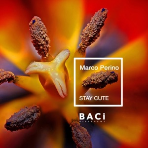 Marco Perino — Stay Cute