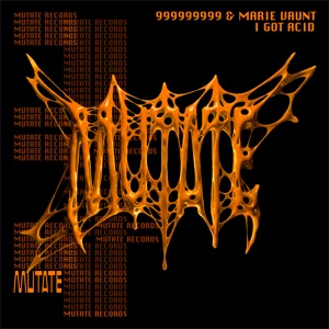 MARIE VAUNT/999999999 — I Got Acid