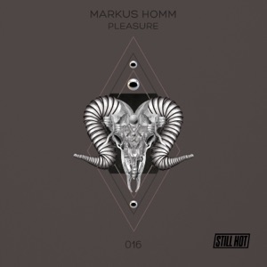 Markus Homm — Pleasure