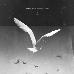 MARTIN ROTH — Just Sine Waves