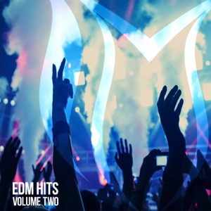 Matrick — We Fight For Our Survival (Make One Remix)