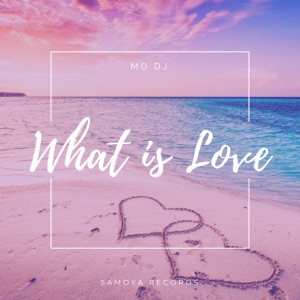 MD Dj — What Is Love