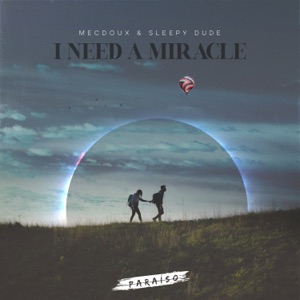 Mecdoux / Sleepy Dude — I Need a Miracle