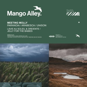 Meeting Molly — Arabesca (Jelly For The Babies Remix)