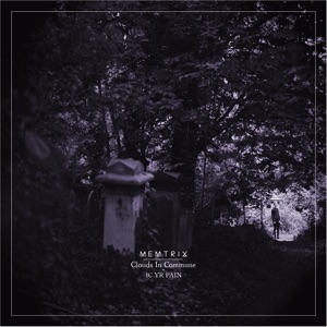 MEMTRIX — Ic Yr Pain