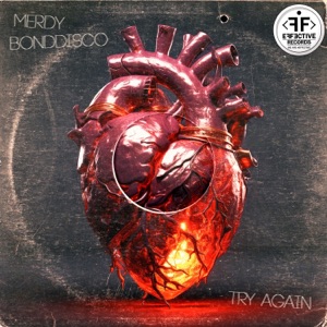 Merdy & BONDDISCO — Try Again