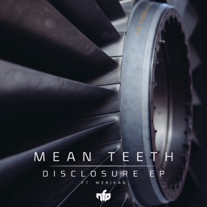 MERIKAN/MEAN TEETH — Disclosure