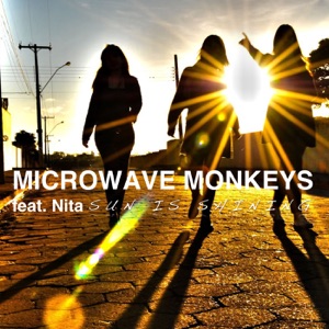 Microwave Monkeys & Nita — Sun Is Shining