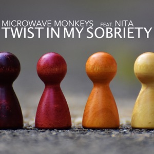 Microwave Monkeys;Nita — Twist in My Sobriety