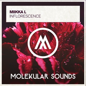 Miikka L — Inflorescence