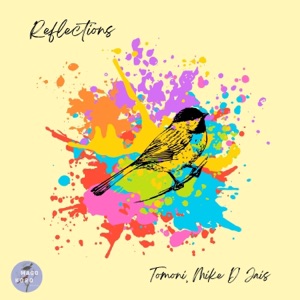 Mike D' Jais & Tomoni — Reflections
