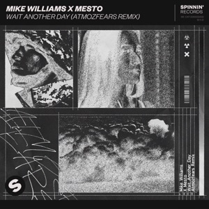 Mike Williams & Mesto — Wait Another Day