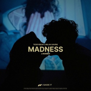 TeddyBear, Milan Gavris, INAMEIT — Madness