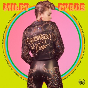 Miley Cyrus — Malibu (Dillon Francis Remix) - 0:00