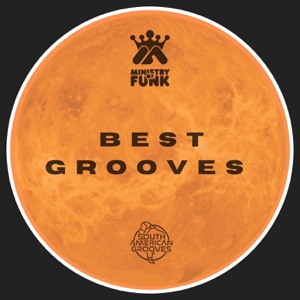 Ministry Of Funk — Gypsy Lover - Soul Mix