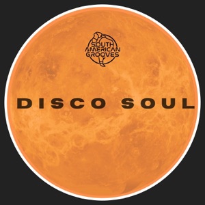 Ministry Of Funk — Loving You - Soul Mix