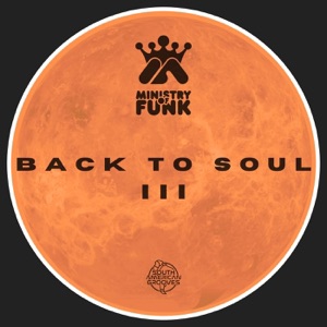 Ministry Of Funk — Music Never Let Me Down