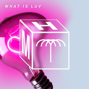 Rafael, Mita Gami — What Is Luv (Extended Mix)