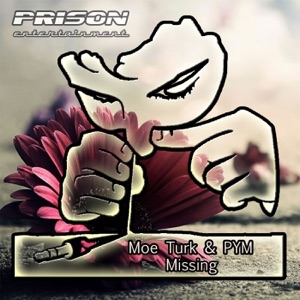 Moe Turk — Missing You