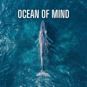 davodavo, Mon Ami Music — Ocean of Mind