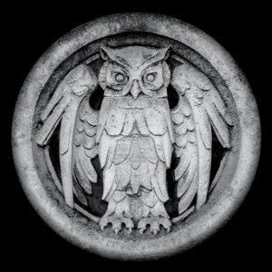 MONARCHY — THE BEAUTIFUL ONES