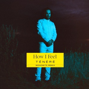 Monocat — How I Feel