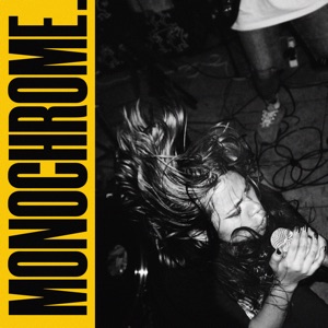 monochrome. — с нуля
