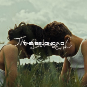 Innellea, Monolink & CamelPhat — Shelter