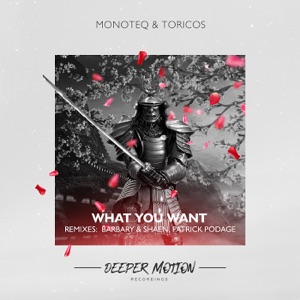 Monoteq & Toricos — What You Want