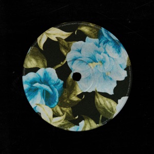 MONTY — Questions