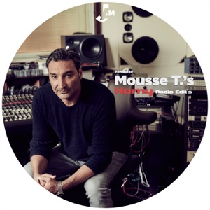 MOUSSE T. / HOT N JUICY — HORNY