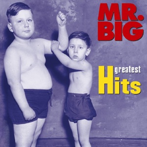 MR. BIG — TO BE WITH YOU (1991)