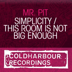 Mr. Pit — This Room Is Not Big Enough (Tech Mix)