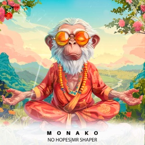 No Hopes, Mr Shaper — Monako (Extended Mix)