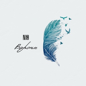 NЮ — ВОРОНЫ