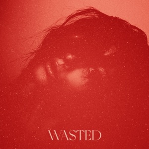 Naarly & Major League DJz — WASTED