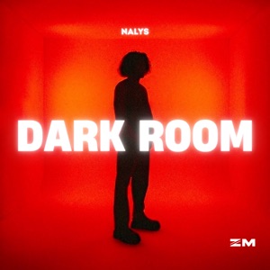 Nalys — Dark Room