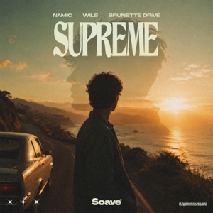 Namic / wils / Brunette Drive — Supreme