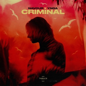 Navour & YNGA — Criminal