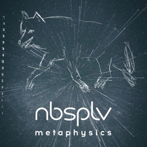 NBSPLV — Delusion