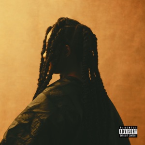 NEVA — Future Noise