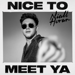 Niall Horan — Nice To Meet Ya