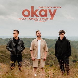 Nicky Romero & MARF feat. Wulf — Okay (Afrojack Remix) - 0:00